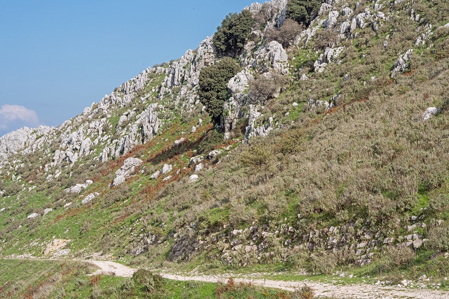 GalRegOlgHabitat_Pantokrator