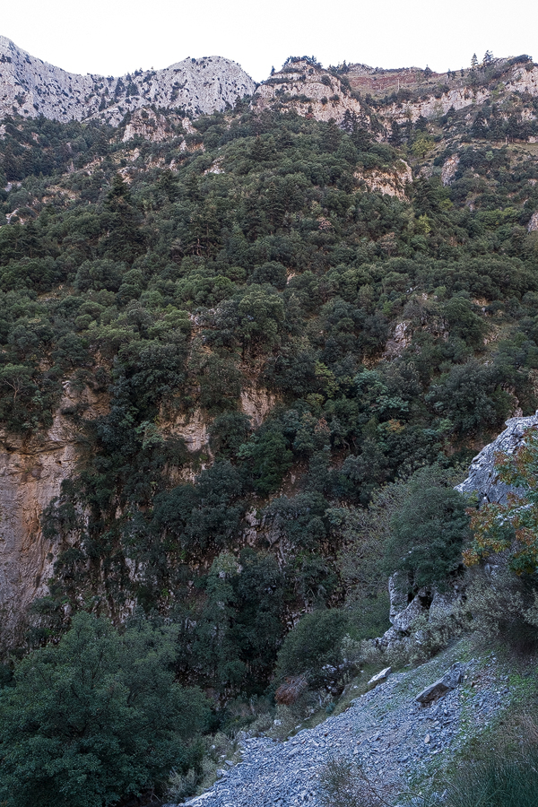 LangadaPass004