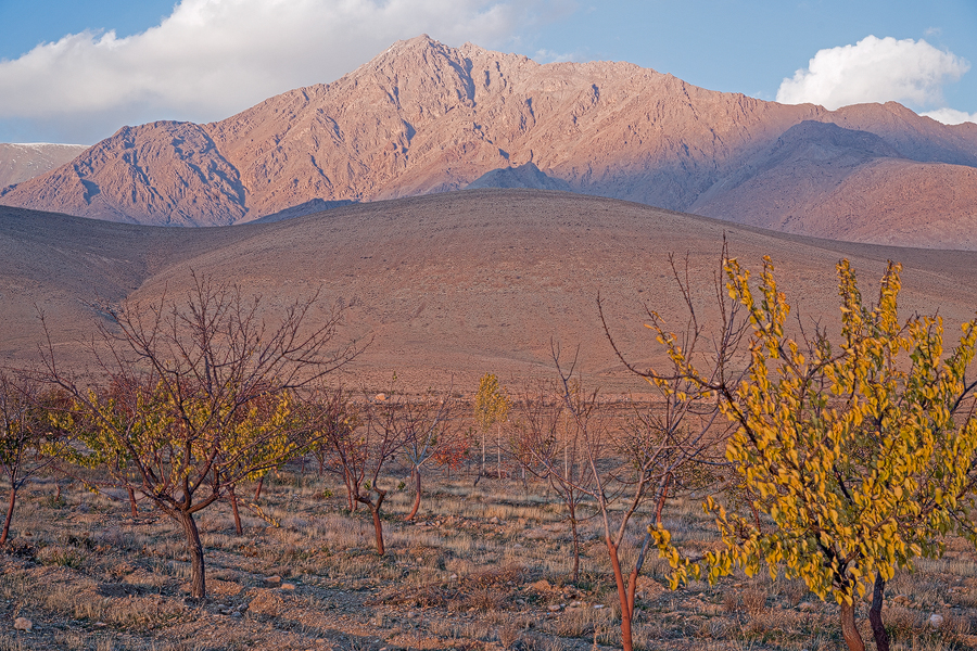 North of Tehran, 19/11/2015.