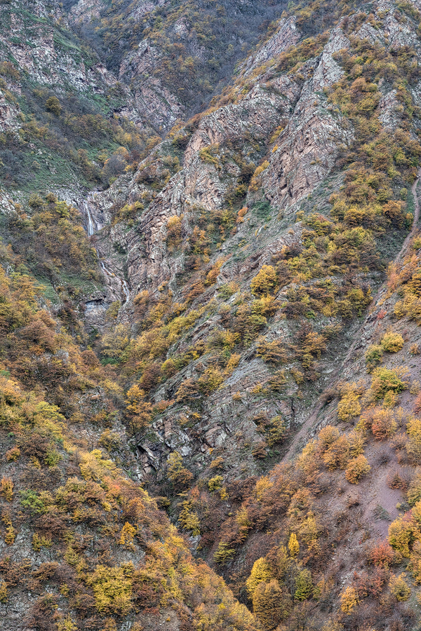 Hyrcanian forest, Western Alborz, 16/11/2015.