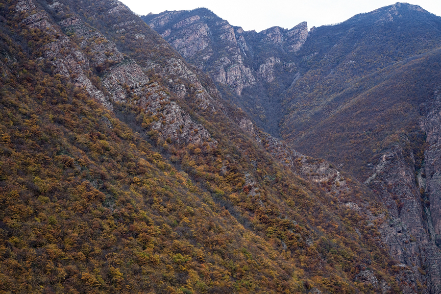 Hyrcanian forest in the western Alborz Mountains, Iran, 16/11/2015.