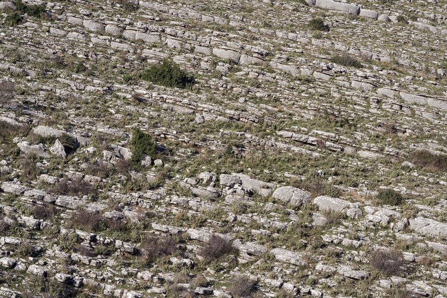 Wonderful limestone formations, with garrigue, near Gkirokaster.