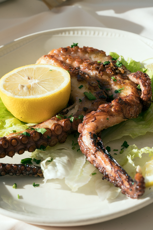 Grilled octopus in Sarandë