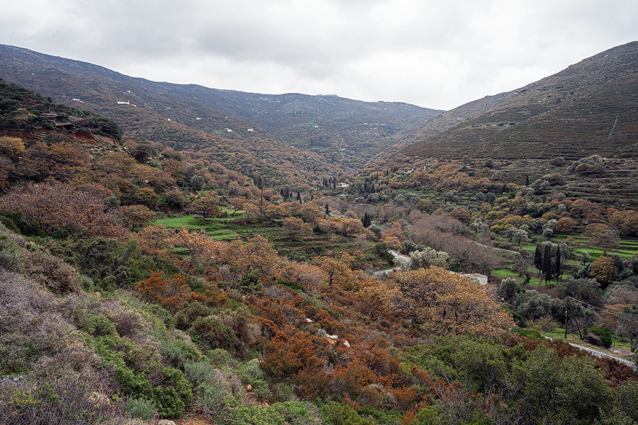 The village of Arnas, Andros.
