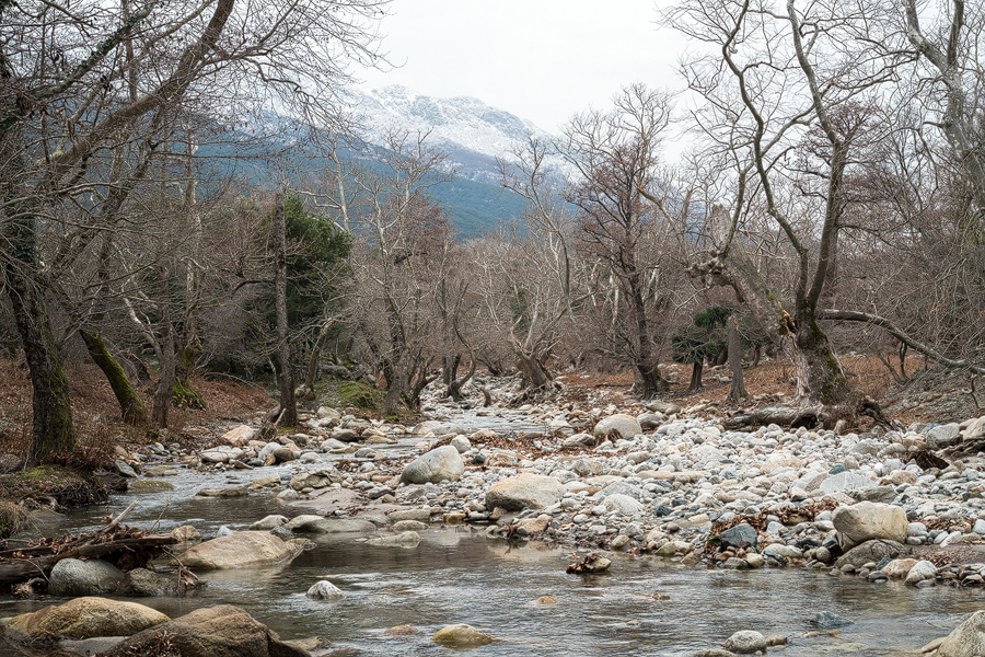 The wide bed of the Fonias River, on flat land near the north coast, 20/1/16.