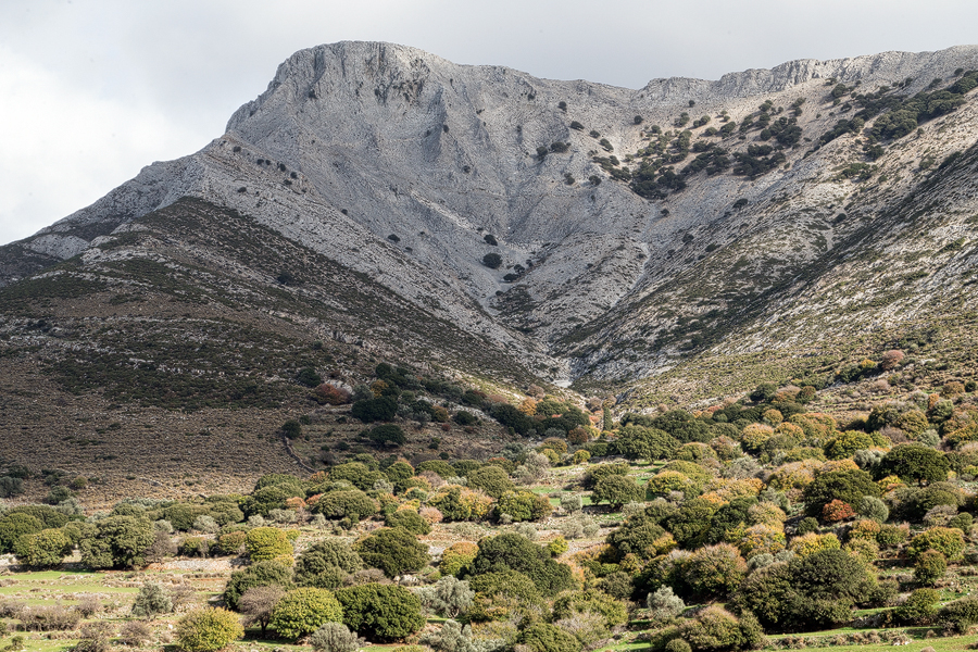 Mount Zas, an enormous lump of marble.