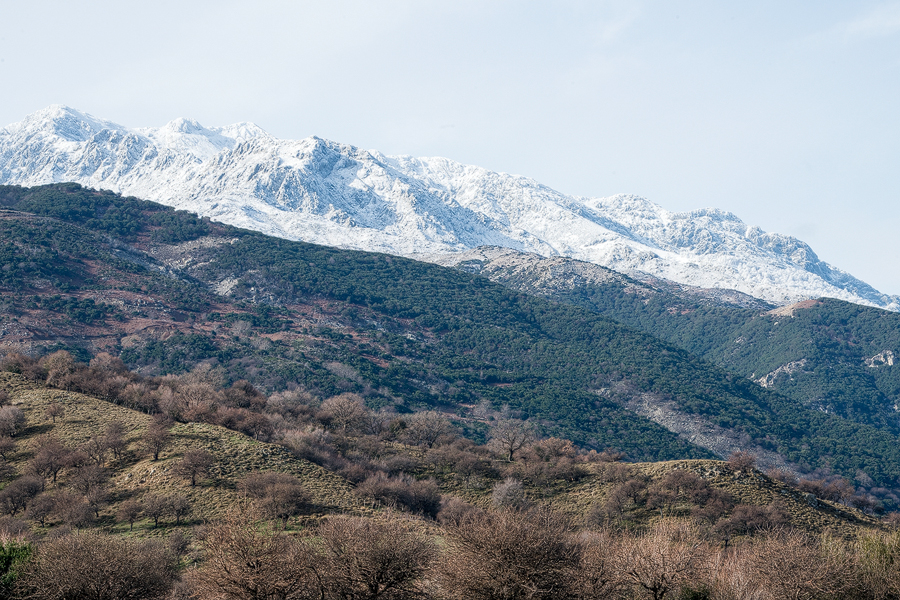 Layers of vegetation at various elevations on Samothraki.
