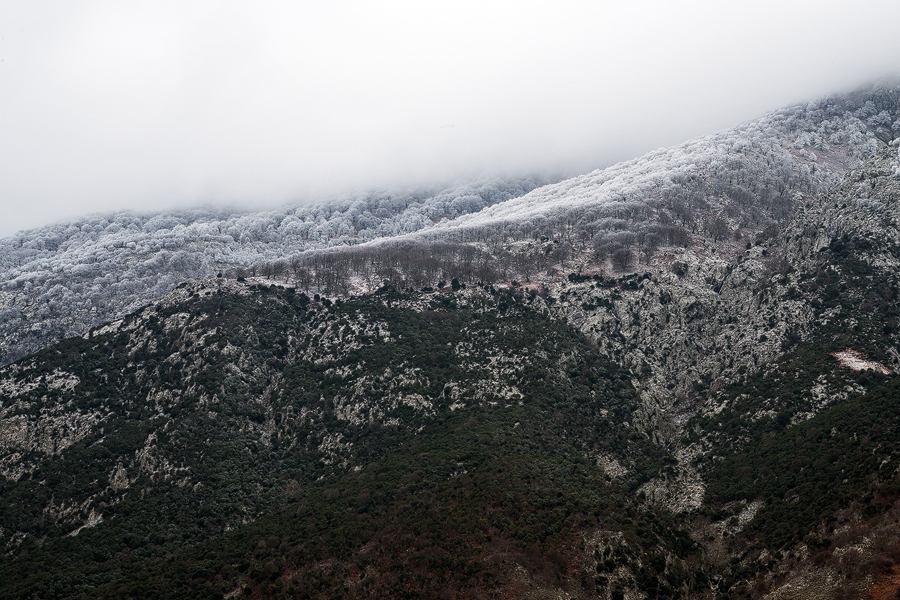 Frost and mist on the beautiful island of Samothraki, 18/1/16.