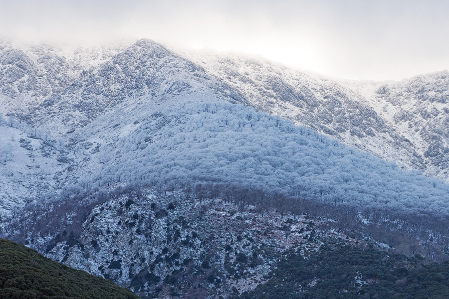 Frost and snow on Samothraki, from the north coast road, 20/1/16.