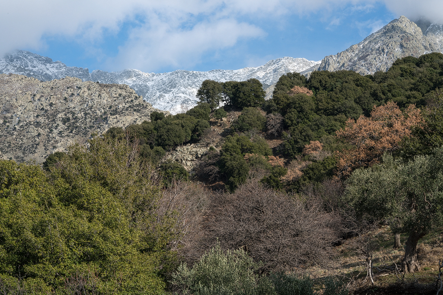 Xiropotamos, Samothraki, 19/1/16.