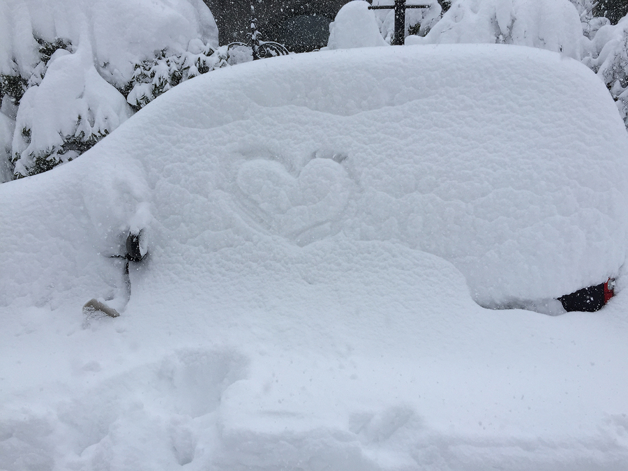 My car, the morning after I parked it. Who left the heart?