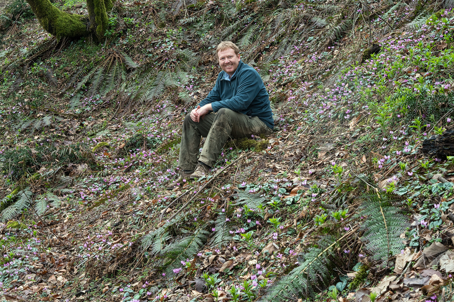 Sitting on a slope with Cyclamen elegans