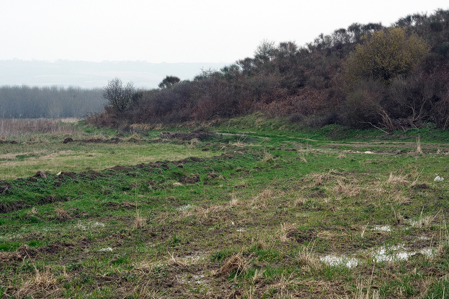 Habitat of snowdrops and kids, playing with guns.
