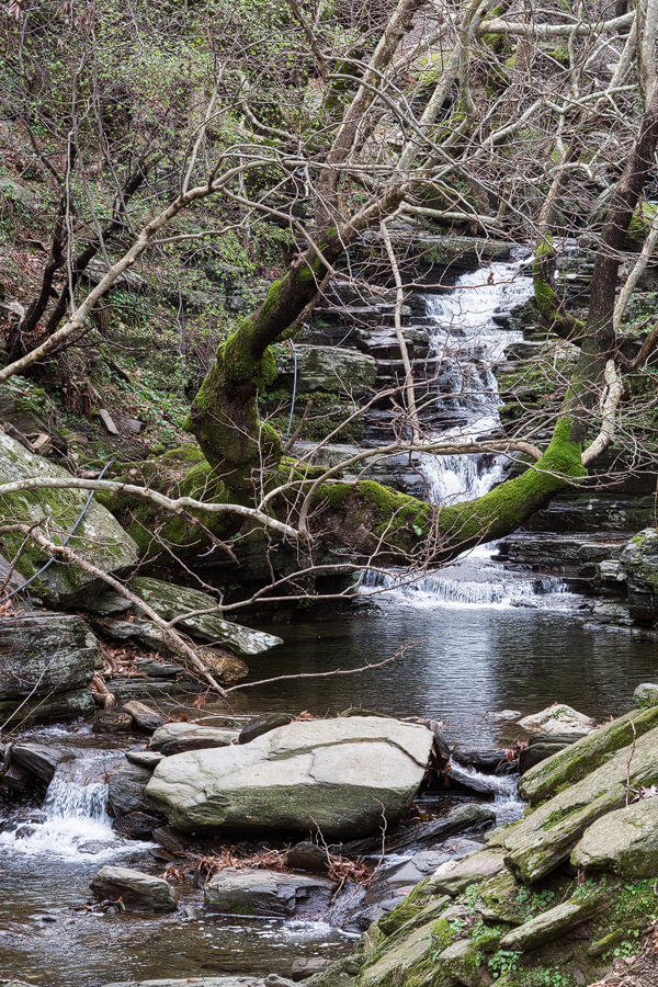 A typical Ikarian stream, in this case without snowdrops.