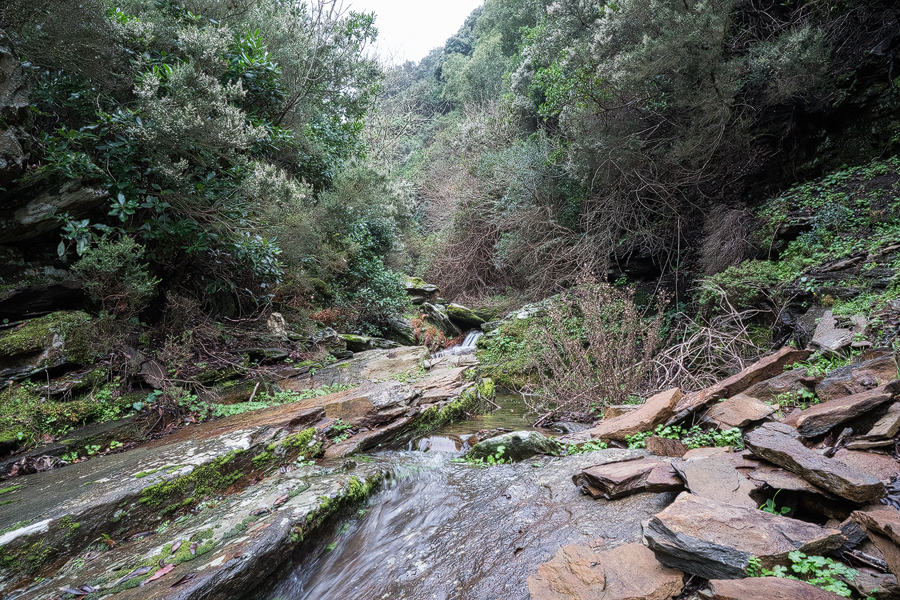 Stream running to the north coast of Ikaria