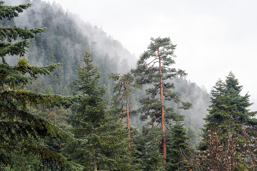 Mountains near Lake Abant
