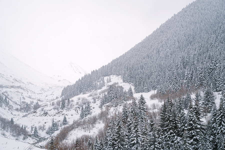 Snow stops play, south of Trabzon.
