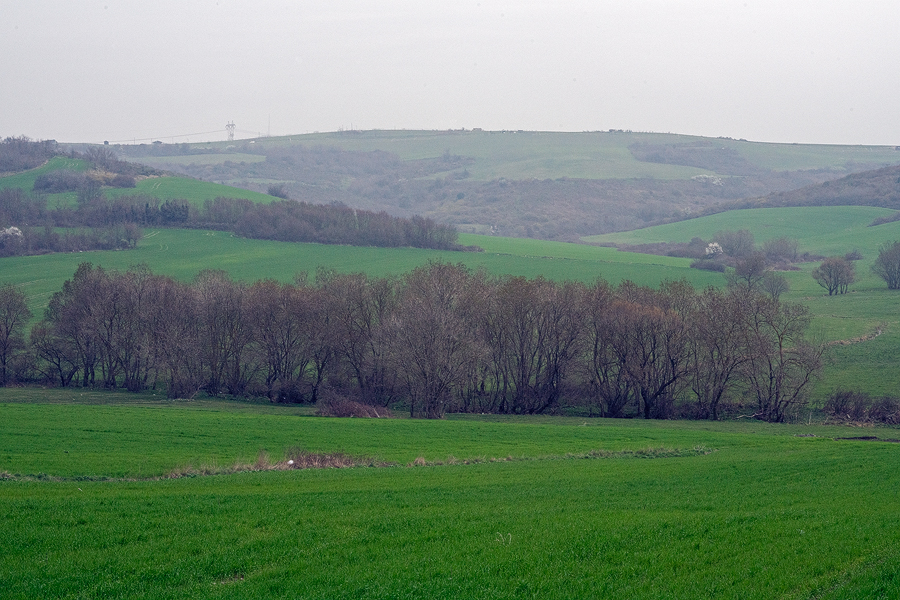 The green hills of Turkish Thrace, largely converted to agriculture.