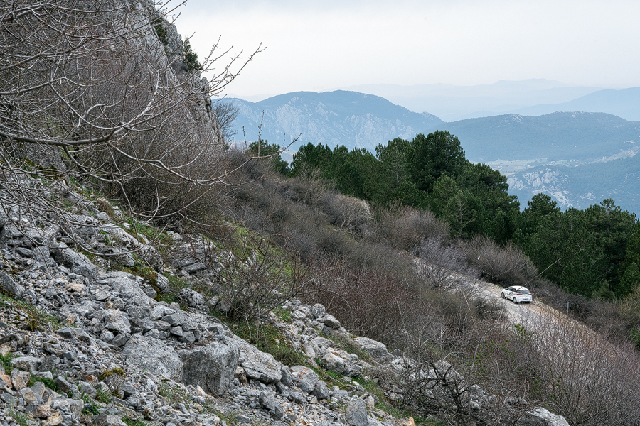 Galanthus gracilis habitat. Scree below shady, north-facing, limestone cliffs. Near Izmir, Turkey, 9/3/16.